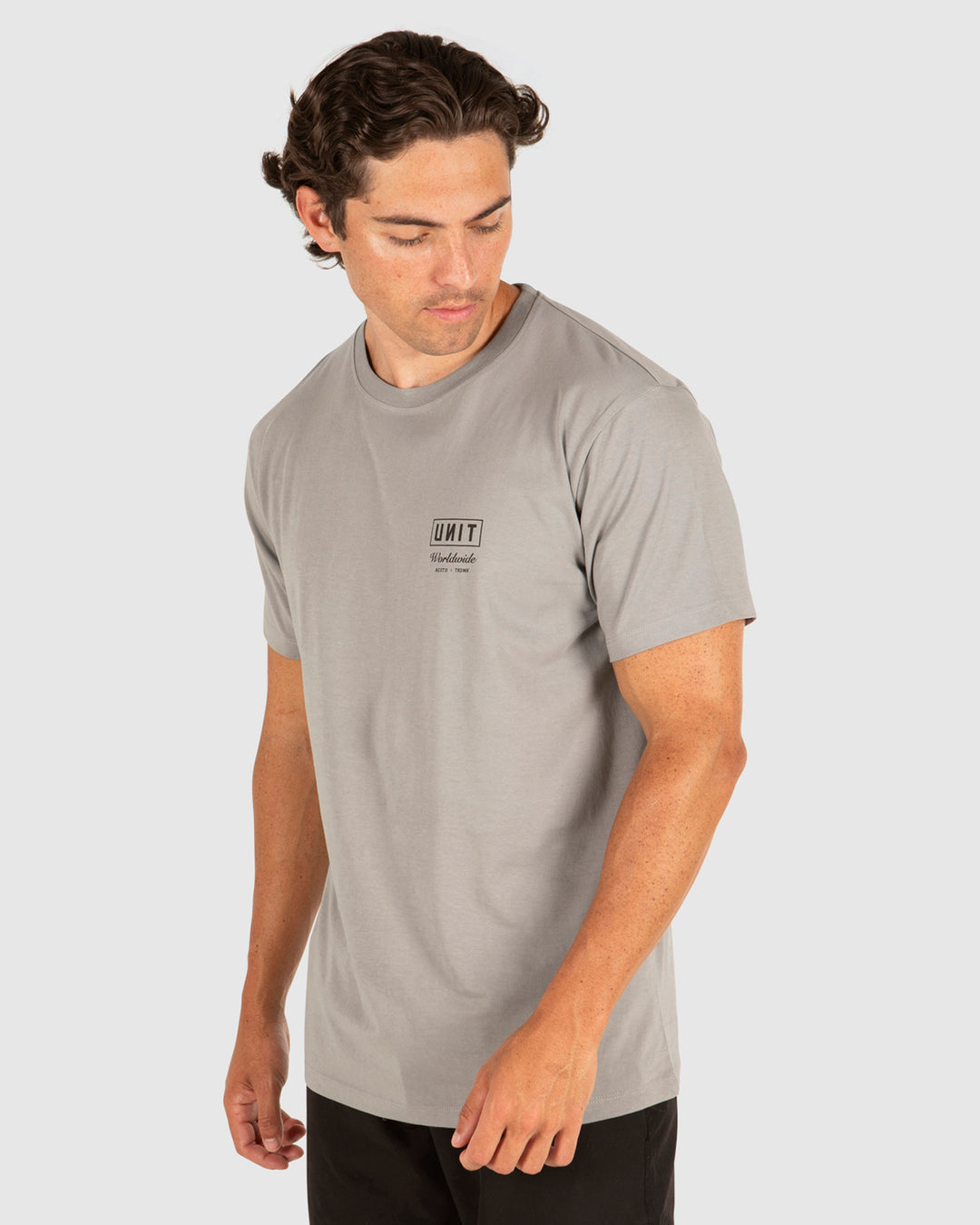MENS TEES - ARCADIA