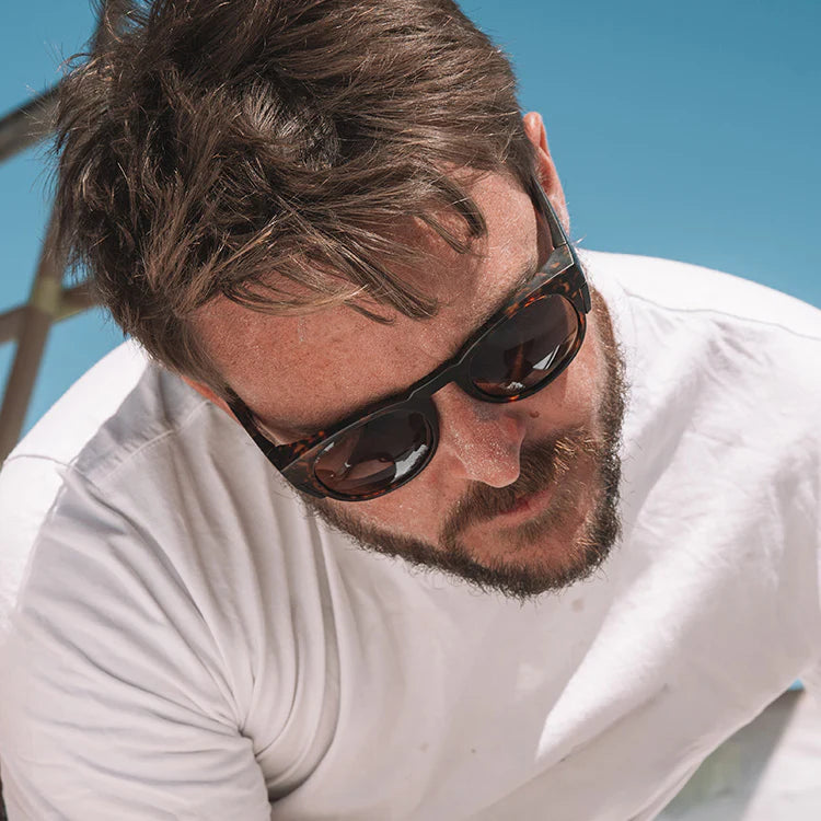 Cruisers Brown Torts Frame/Polarised