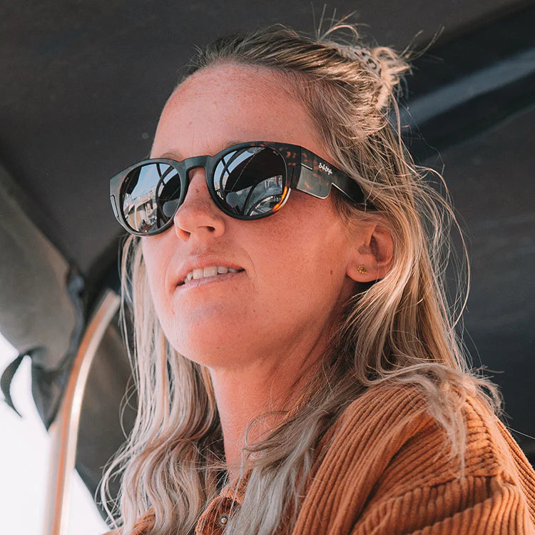 Cruisers Brown Torts Frame/Polarised