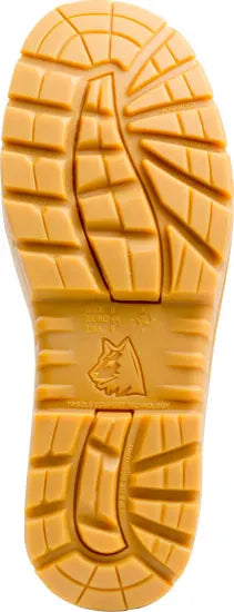 Steel Blue - Collie