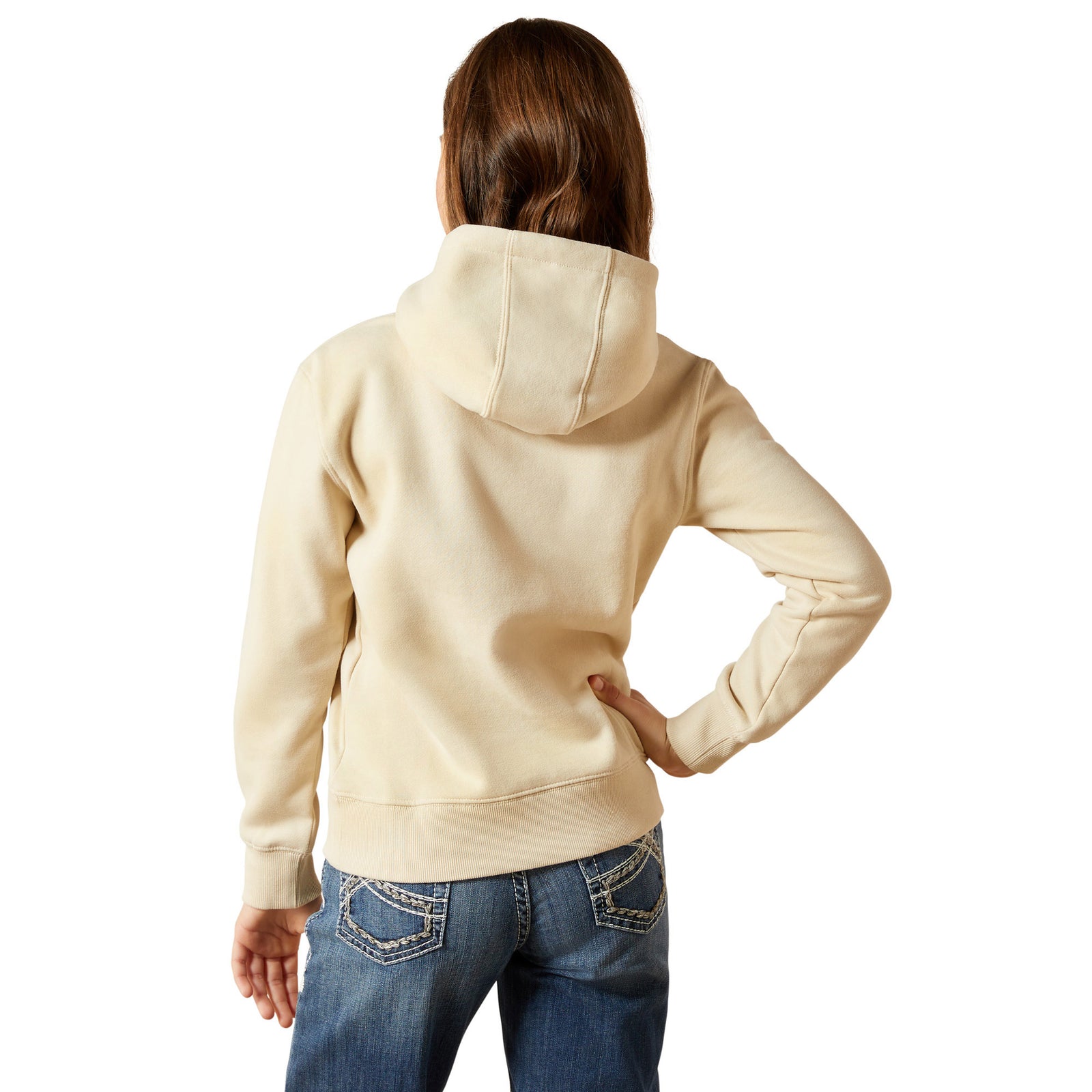 WESTERN BLOCKS HOODIE